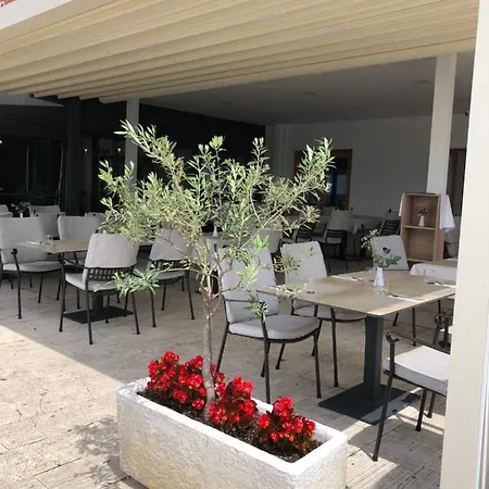 Guest house Sangulin Palace M