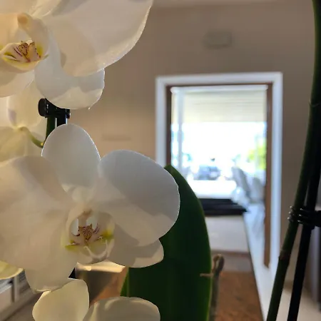 Sangulin Palace M 4*