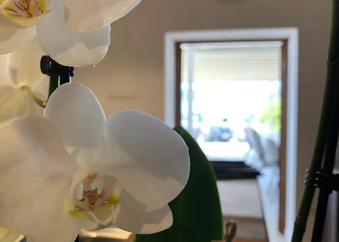 Sangulin Palace M 4*